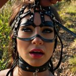 The Truth About BDSM Hookup Sites in 2026